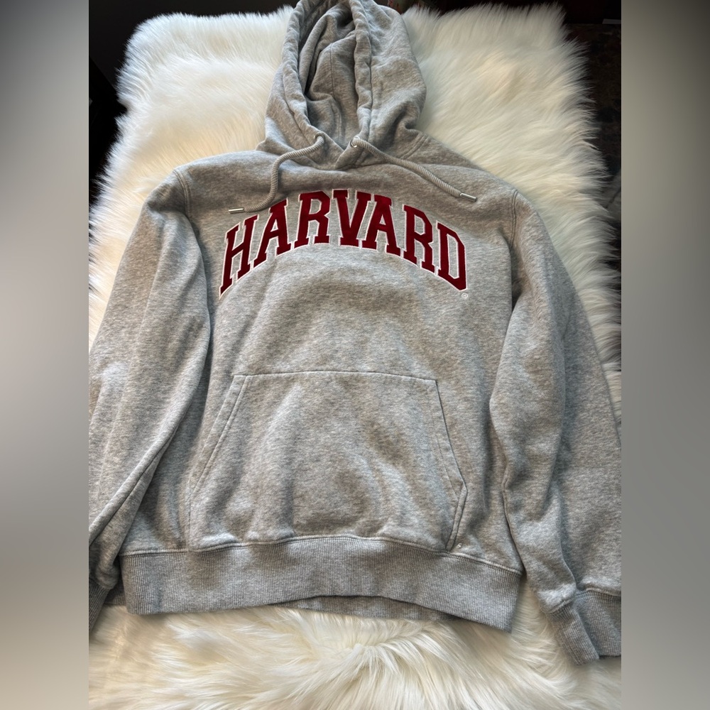 H&M Light Gray Hoodie - Picture 1 of 5